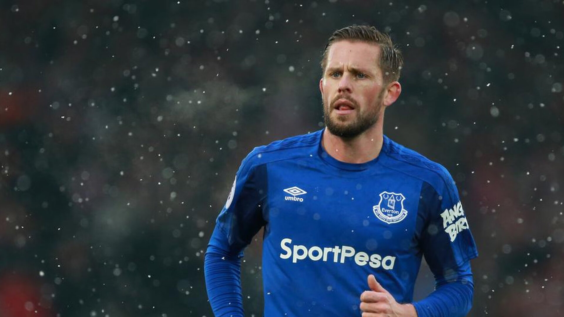 “德甲激烈战况，强队纷纷展现以实力”，德甲阵容