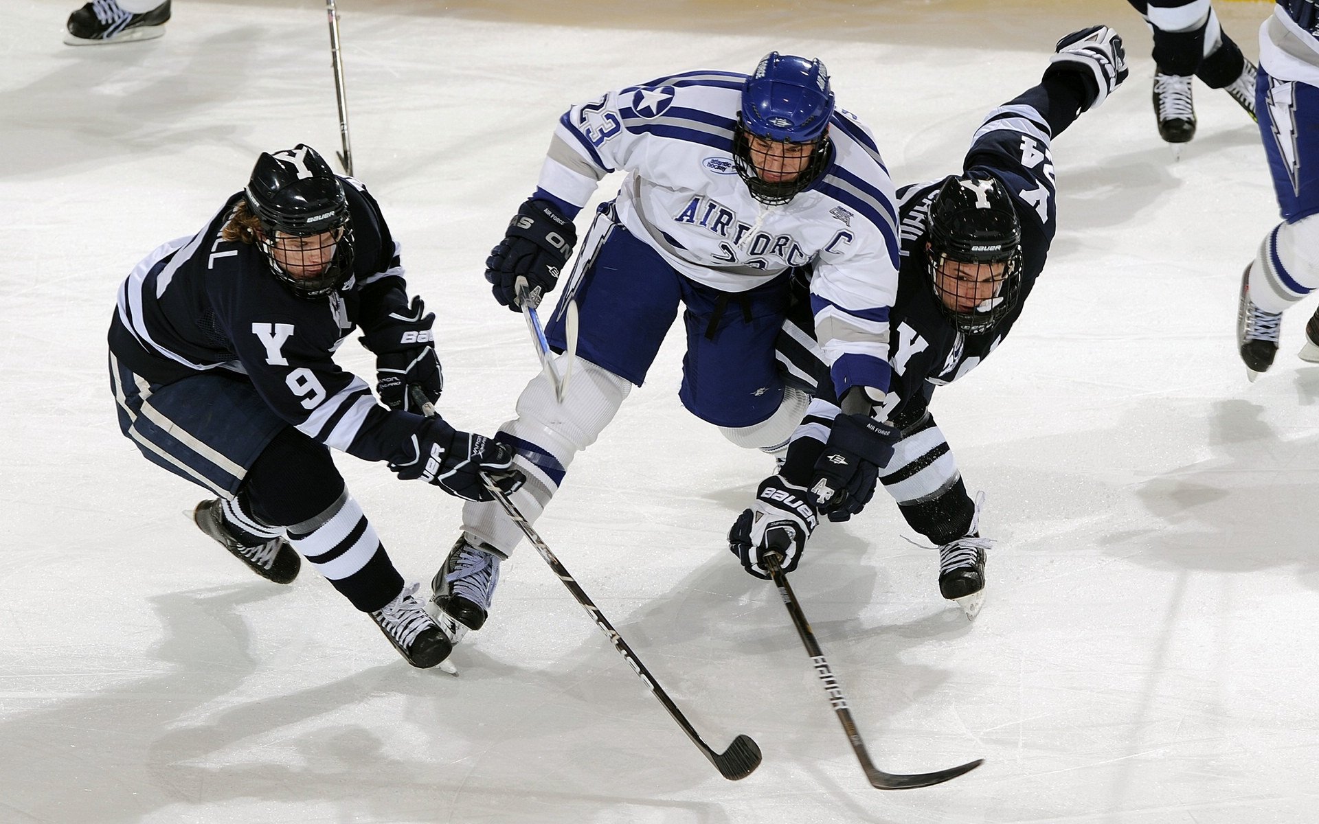 全國摔跤锦标赛，力量与技巧的荣耀舞台，全国摔跤锦标赛事件