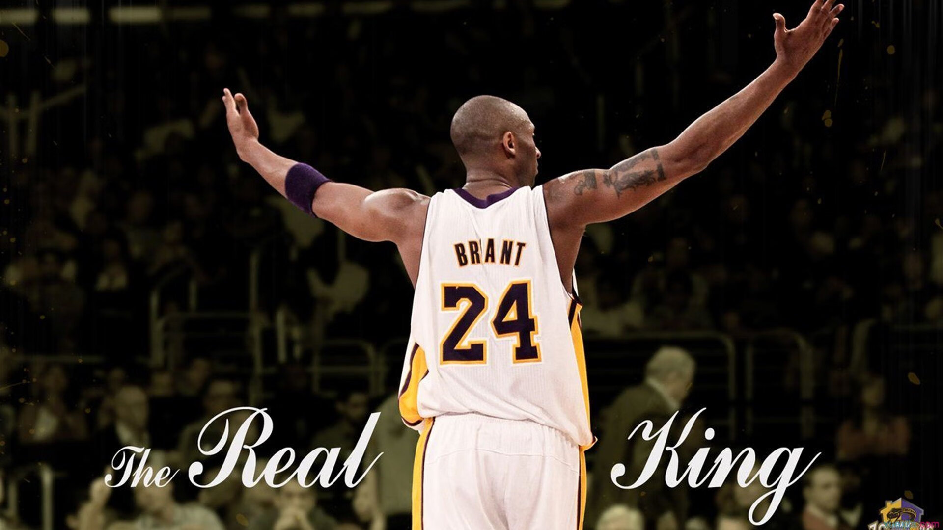 球员分析：场上表现最稳定的球员榜单，各位置最佳球员